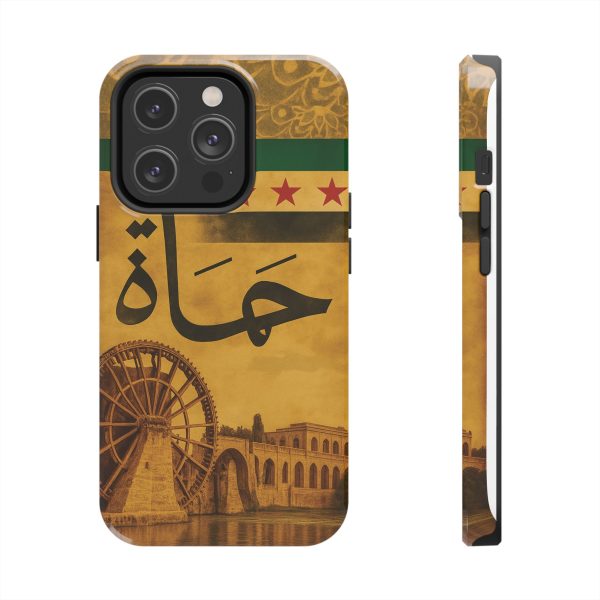 Syria, Hammah - Image 19