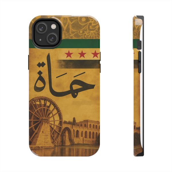 Syria, Hammah - Image 23