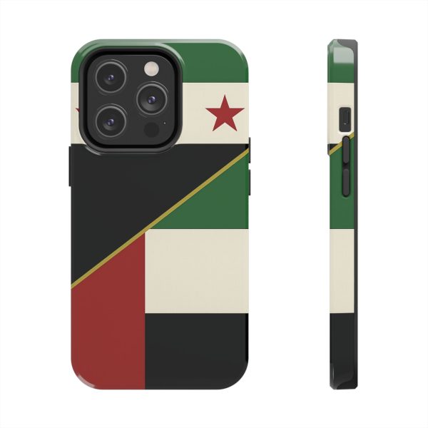 Syria UAE - Image 19