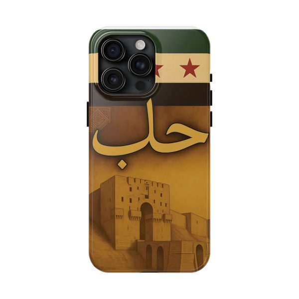 Syria, Aleppo - Image 37