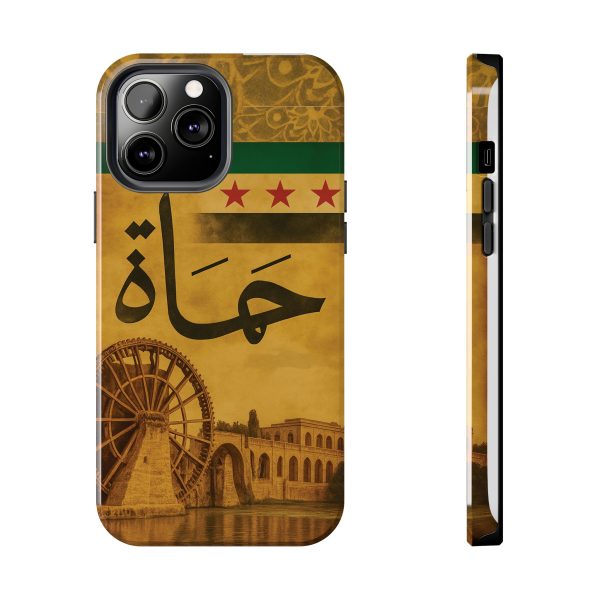 Syria, Hammah - Image 13