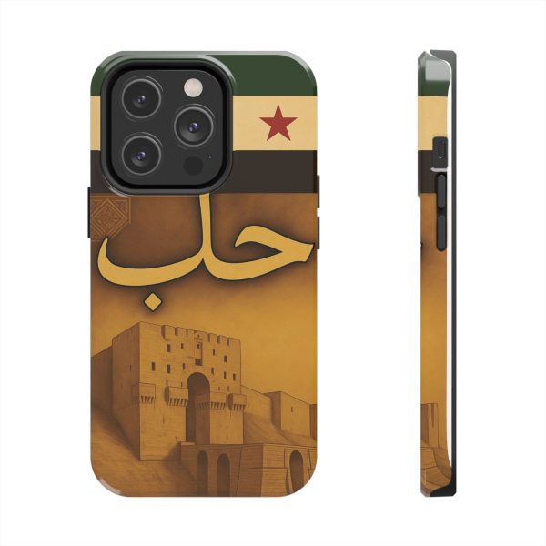 Syria, Aleppo - Image 19