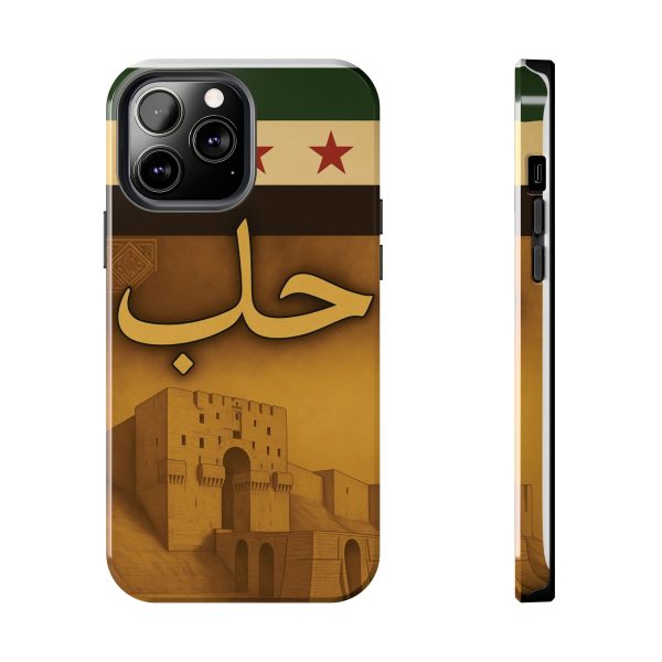 Syria, Aleppo - Image 13