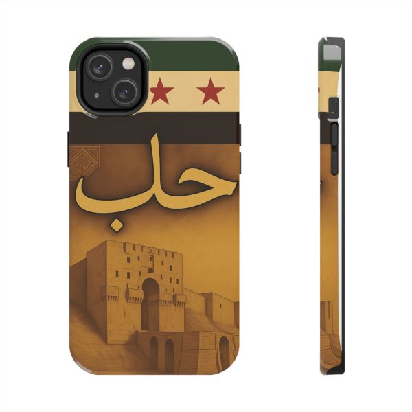 Syria, Aleppo - Image 23