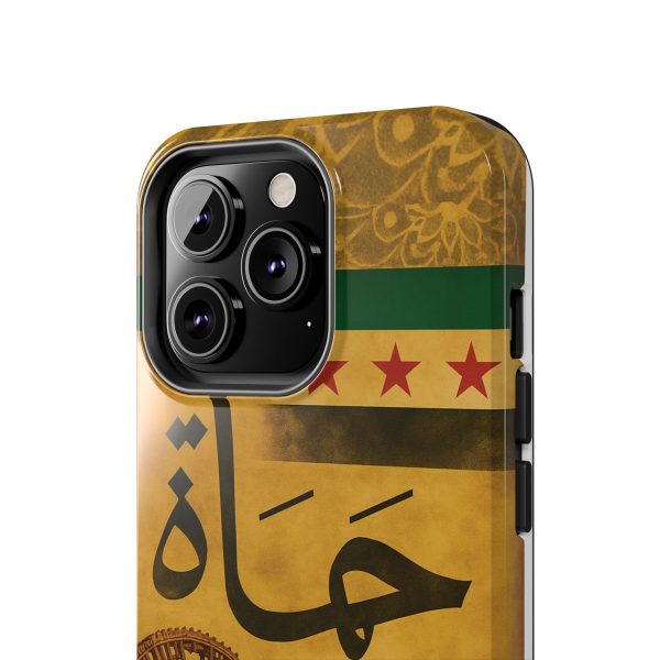 Syria, Hammah - Image 12