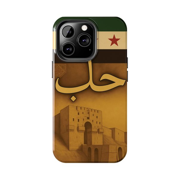 Syria, Aleppo - Image 10