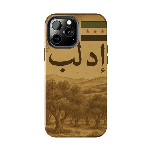 Syria, Idlib - Image 14