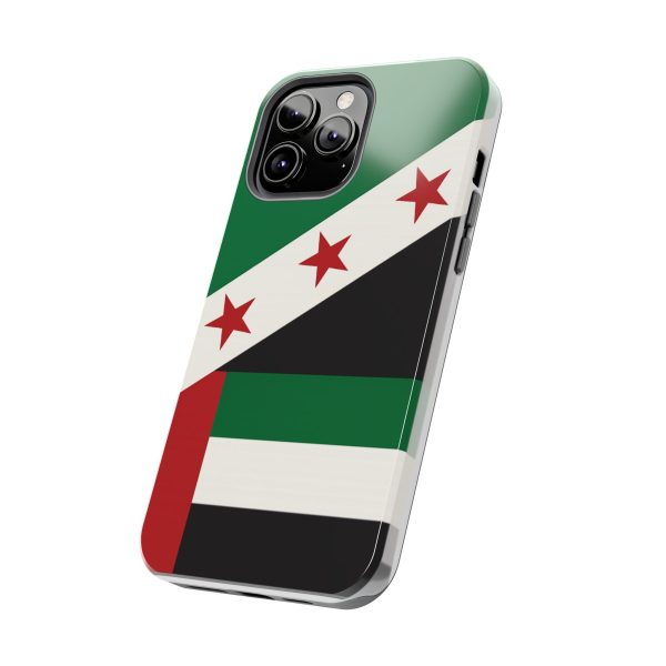 Syria UAE 2 - Image 15