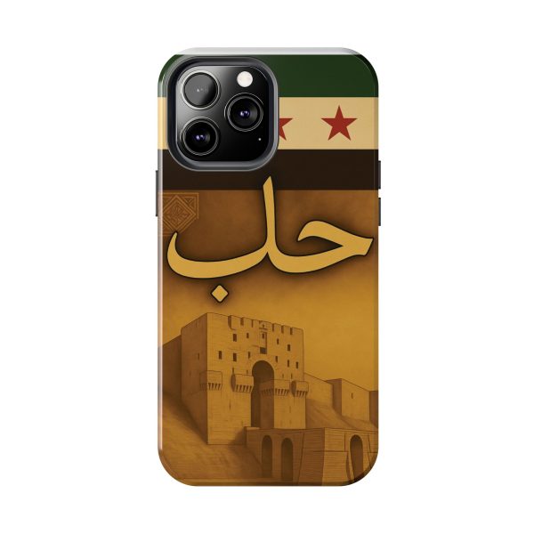 Syria, Aleppo - Image 14