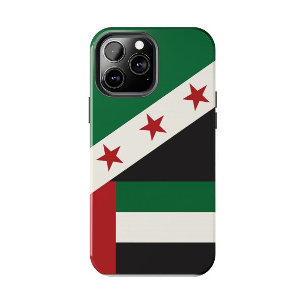 Syria UAE 2 - Image 14