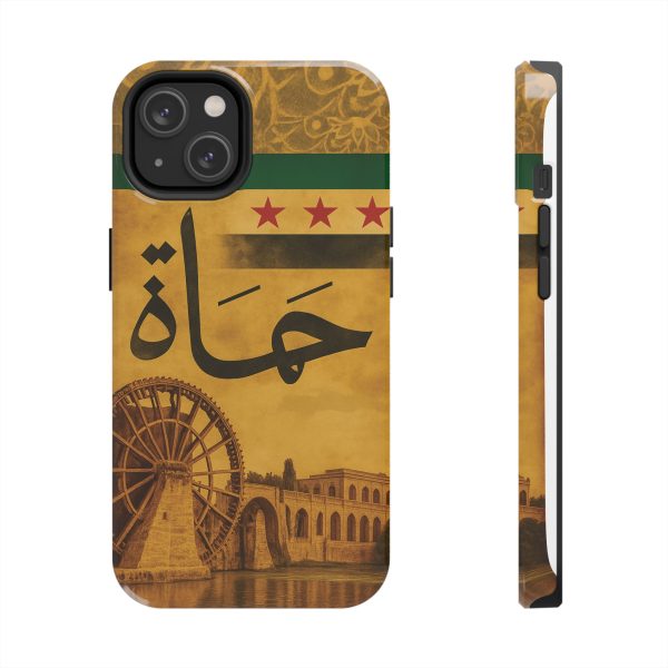 Syria, Hammah - Image 17