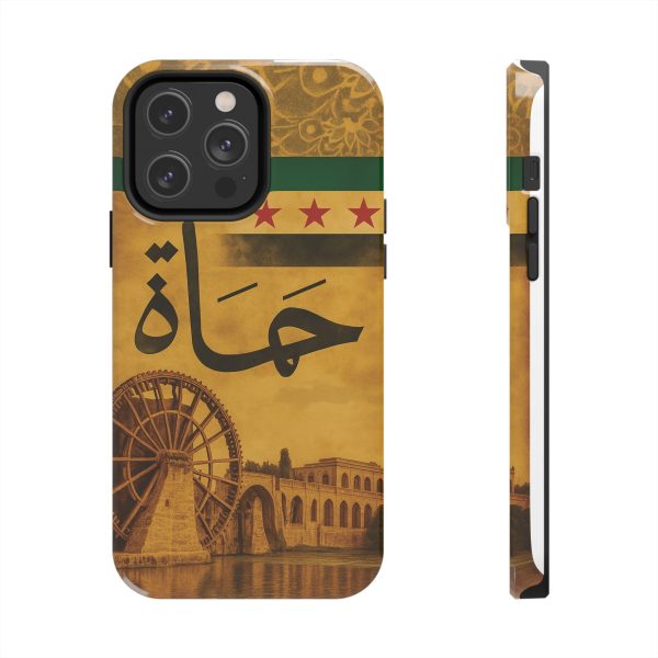 Syria, Hammah - Image 21