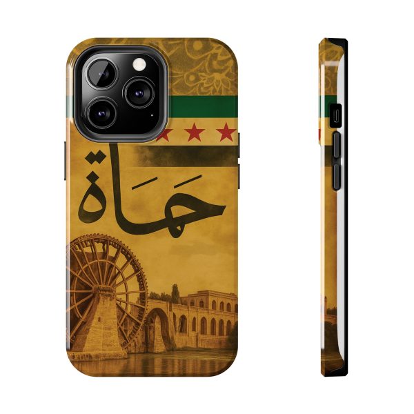 Syria, Hammah - Image 9