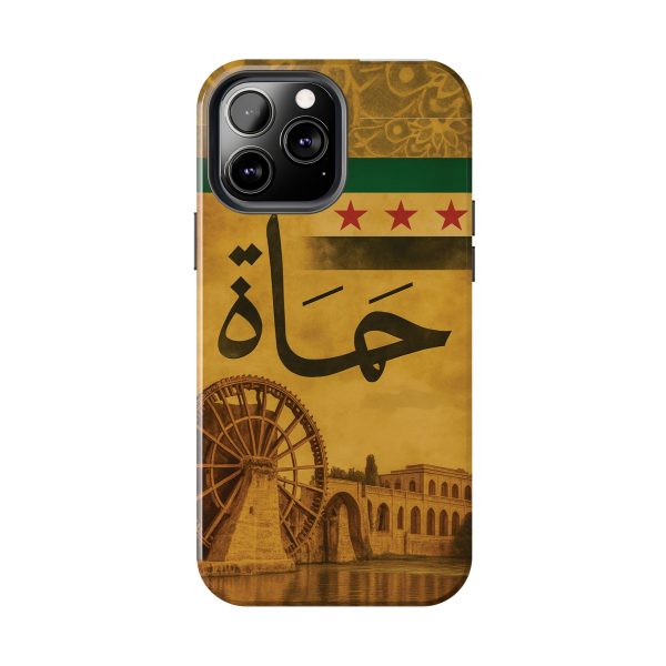 Syria, Hammah - Image 14