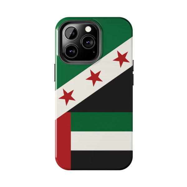 Syria UAE 2 - Image 10