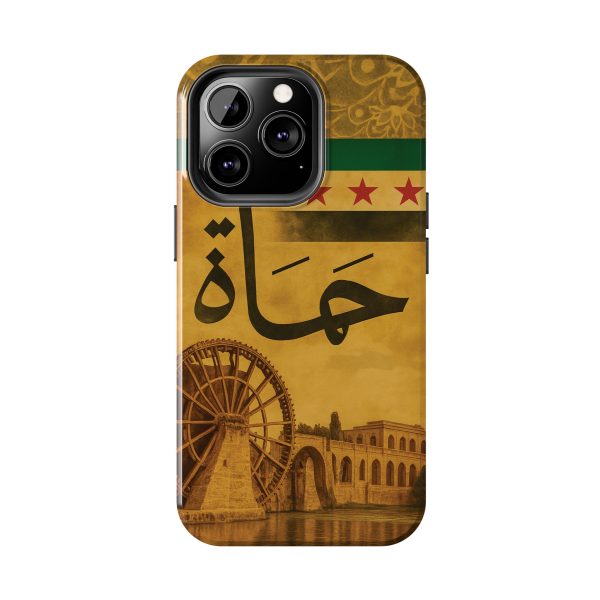 Syria, Hammah - Image 10