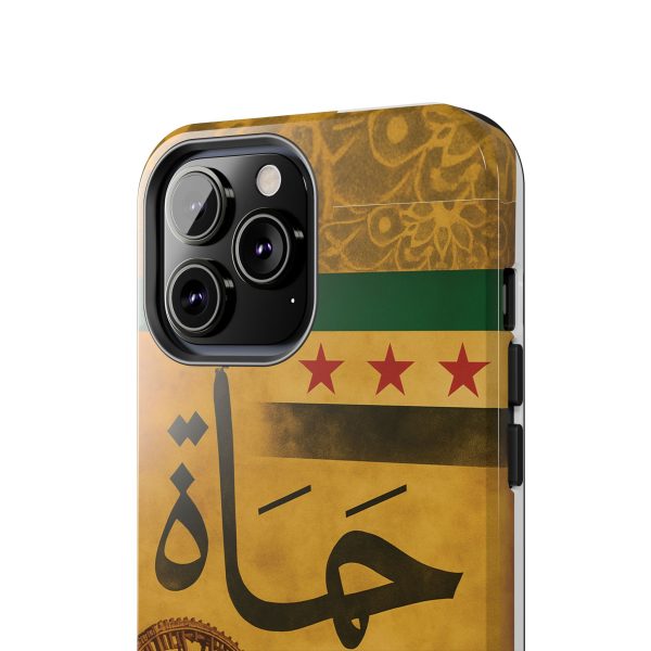 Syria, Hammah - Image 16